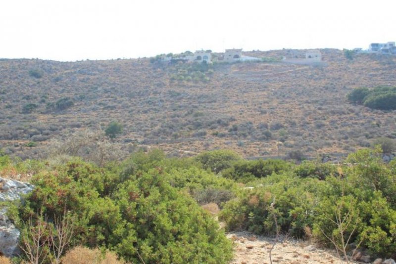 Kokkino Chorio Grundstück mit offenem Meerblick Grundstück kaufen